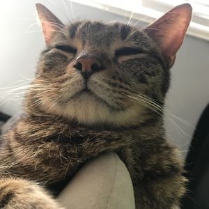 Meet your Posher, Estefany